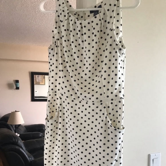 Professional Dresses - Picture 2 of 2